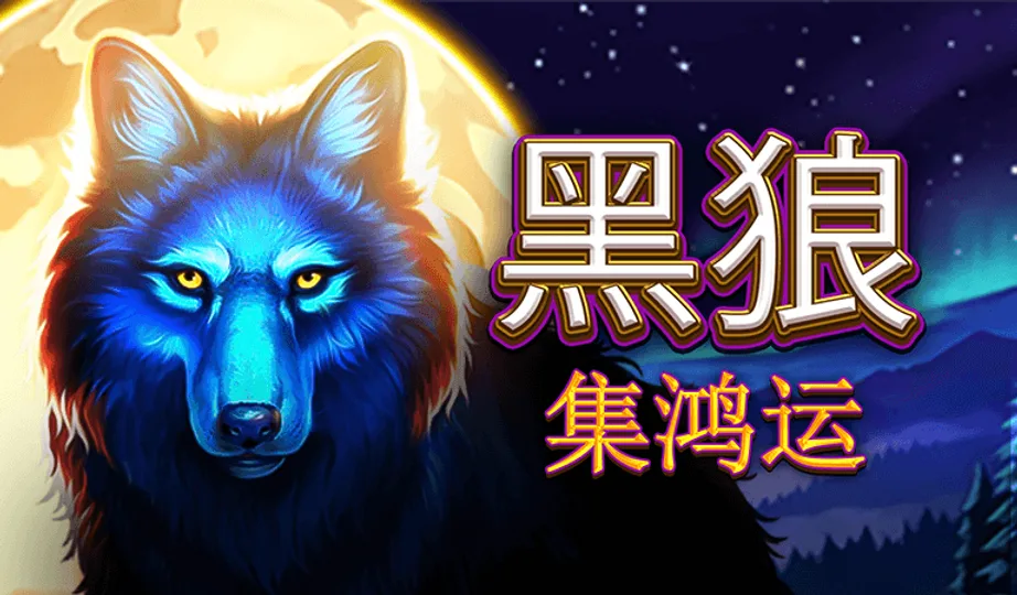 黑狼-集鴻運